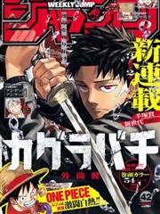 海贼王漫画免费观看 顶上战争